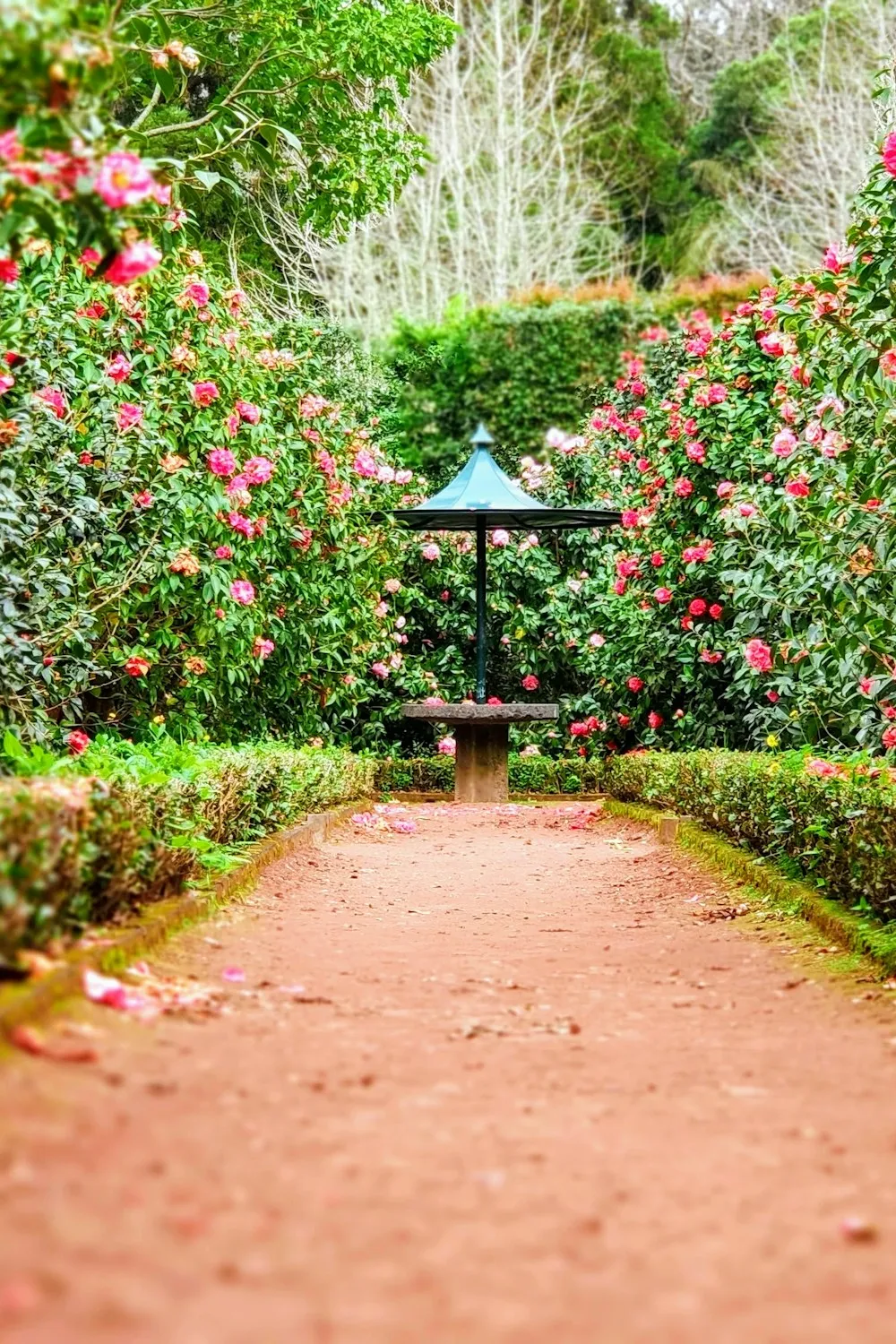 10 Smart Ways to Maximize a Small Garden or Patio