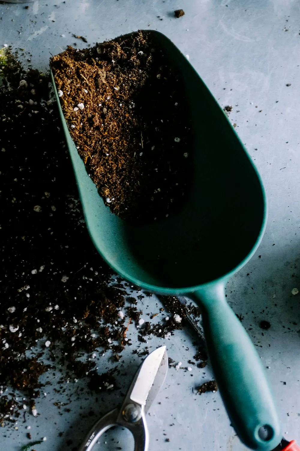 A styled gardening workbench with pots, tools, and small plants on a warm patio