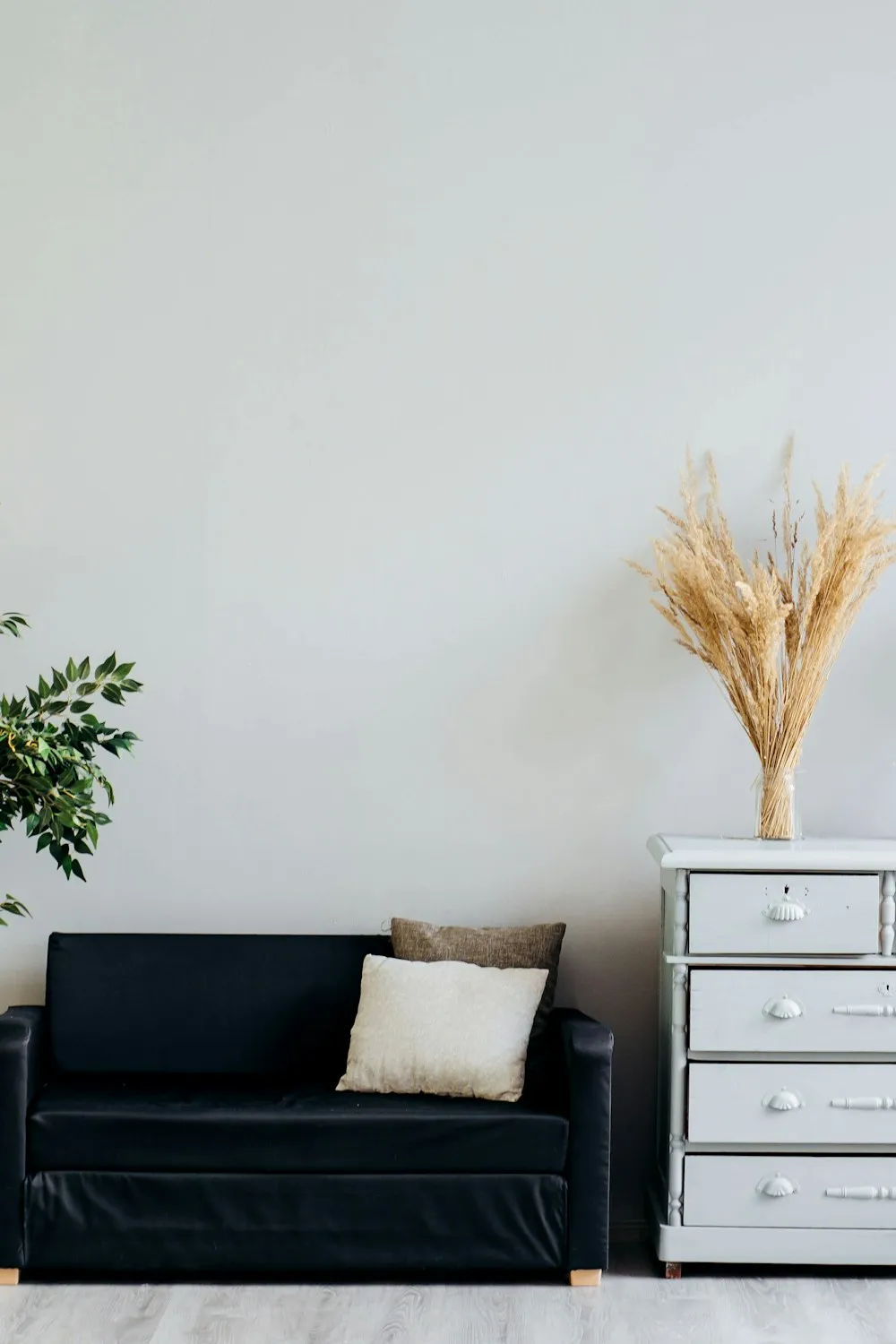 Bright minimalist room showing natural wood textures and a single leafy green plant